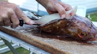 Rock Cod Cleaning and Filleting