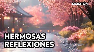 Increíbles Reflexiones y Lecciones de Vida que No Puedes Ignorar ¦ Frases Motivadoras, Soy De Dios