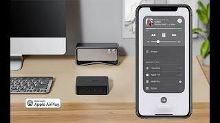 WiiM Pro AirPlay 2 Receiver Chromecast Audio