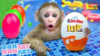 Surprise Eggs SongWhose Eggs? | Donkey Monkey - Nursery Rhymes