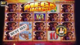 MASSIVE JACKPOT HAND PAY on Buffalo Gold MUST SEE