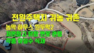 매물302번. 금산군 제원면 마을 끝자락 산으로 둘러싸인 전 농막 하우스 원두막 등 설치 유실수 식재 전원주택지 귀농 귀촌