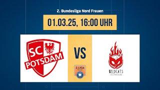 SC Potsdam II – Stralsunder Wildcats (2. Volleyball Bundesliga Nord F 24/25)