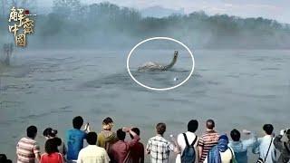 Hundreds of people witnessed the water monster of more than 20 meters!