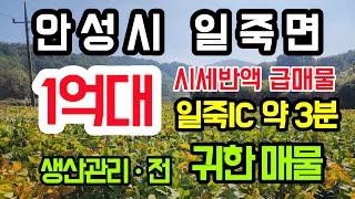 [안성 토지]1억대 소형토지/시세반액 급매물/일죽IC 약 3분/체류형쉼터/ 창고 농막 주택 뭐든지 가능한 청정지역 최고의 입지/생산관리지역/동서울에서 접근성 뛰어난 급매물