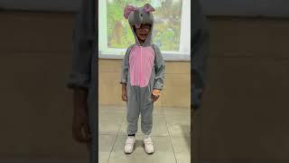 chaitanya as his favourite animal Elephant️