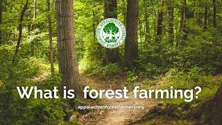 What is forest farming?