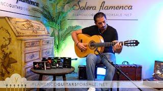 José Salinas 2024 flamenco guitar for sale played by José Andrés Cortés