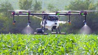 Top 3 Agricultural Spraying Drone [2020]