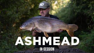 Spotlight | Ashmead Carp Fishery | In-Session