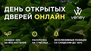 ОНЛАЙН РАСПРОДАЖА День открытых дверей в питомнике Веневе