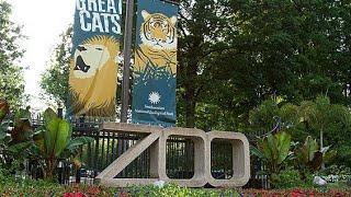 SMITHSONIAN NATIONAL ZOO!