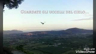 Guardate gli uccelli del cielo...  Guardate i gigli dei campi...