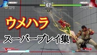 【スト５】ウメハラスーパープレイ集（Daigo [Ryu] Compilation）