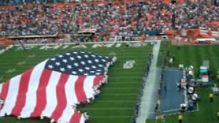Delfins.AVI