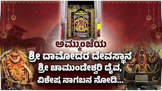 ವಿಶೇಷ ಕಾರಣಿಕ ಕ್ಷೇತ್ರ ಅಮ್ಮುಂಜೆ ಶ್ರೀ ದಾಮೋದರ ದೇವಸ್ಥಾನ |Story of Shri Damodar Temple Ammunje| Udayavani