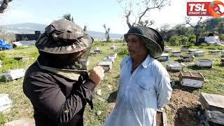 Kashmiri Beekeeper says "Received no govt help"