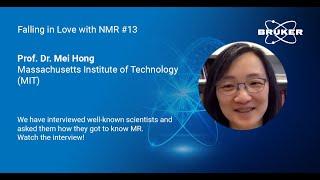 Interview with Prof. Dr. Mei Hong, MIT, Cambridge, Massachusetts, USA | Falling in Love with MR | 13