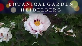 HEIDELBERG BOTANICAL GARDEN