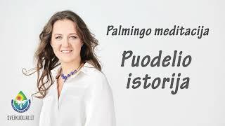 Palmingo meditacija - Puodelio istorija