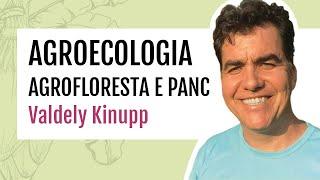 Agroecologia, Agrofloresta e PANC | Valdely Kinupp