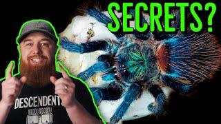 5 Things I Wish I Knew BEFORE Getting A Pet Tarantula!