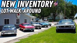We Bought New Muscle Car Inventory: Lot Walk