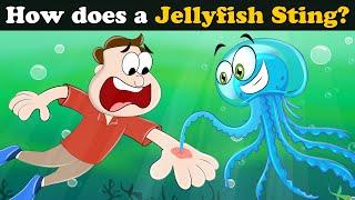 How does a Jellyfish Sting? + more videos | #aumsum #kids #science #education #whatif