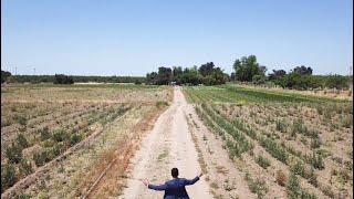 Centrally Located Home on 6.5 Acres in Modesto!