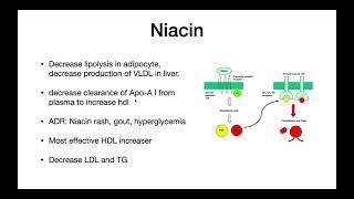 Pharmacology: Hypolipidemic drugs