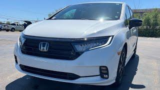 2024 Honda Odyssey Sport Review!!