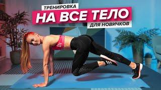 Тренировка на все тело для новичков | Пресс, ягодицы, ноги, спина, руки | PopSport