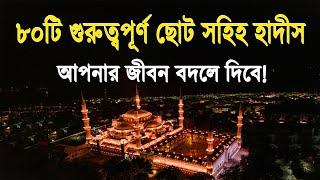 নবীজির ৮০টি (গুরুত্বপূর্ণ) ছোট সহিহ হাদীস | | Sahih Hadith