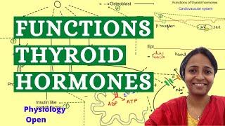 Functions of thyroid hormones | Endocrine system Physiology mbbs 1st year lectures