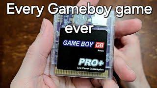 This Cart plays EVERY Game Boy game!