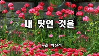 박진석 ~ 내 탓인 것을