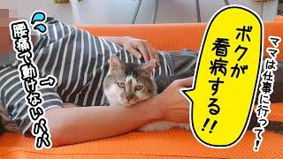 パパの看病を元野良猫にお願いしてみた結果･･