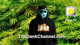 DankTV Promo #1 - Max from the B.A.D. Wellness Center