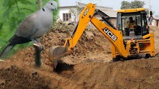 Camera Capture Dove Near JCB Working Place - JCB 3DX Making Drain - JCB Repairing Village Road