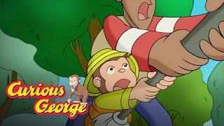 Fishing Competition  Curious George Kids Cartoon  Kids Movies Videos for Kids