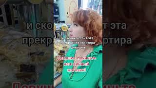Сколько стоит  эта прекрасная  Квартира #юмор  #тикток  #прикол #смехпродлеваетжизнь