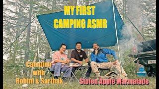 MY FIRST CAMPING ASMR. Cooking Stolen Apples.#abhinavshukla #rohinidilaik #outdoorsurvival #camping