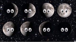 Phases of the Moon - The Kids' Picture Show (Fun & Educational Learning Video)