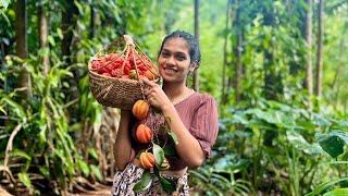 Sri lankan Gambooge recipes  harvesting preserving  & Cooking in rainy ️ mountains