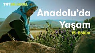 Anadolu'da Yaşam | Ege Bölgesi | TRT Belgesel