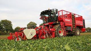 Vervaet Q-616 sugar beet harvester with rollerbed primary cleaning system