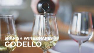 Spanish Wine Grapes: Godello