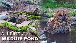 I Built a Wildlife Pond... and so Many Animals Came | My Wildlife Conservation | Robert E Fuller