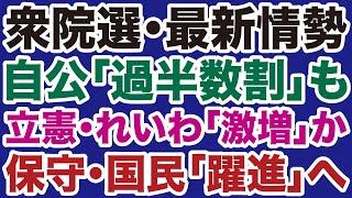 【衆院選】自民党・公明党「過半数割れ」／立憲民主・れいわ「大幅増」／共産党・維新「苦戦」／日本保守党・国民民主党「躍進」【佐々木類山根真＝デイリーWiLL】