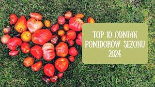 TOP 10 odmian pomidorów z sezonu 2024